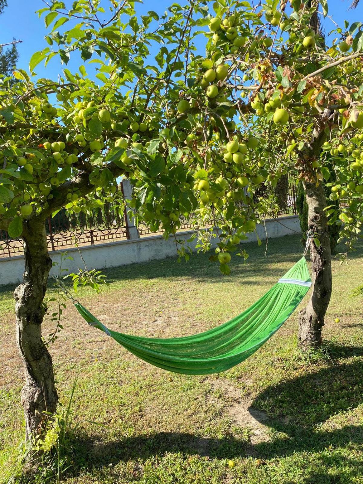 Maison D'Hotes, Superbe Et Spacieuse ,Dans Un Cadre Charmant Calme Et Verdoyant Pernes-les-Fontaines Ngoại thất bức ảnh